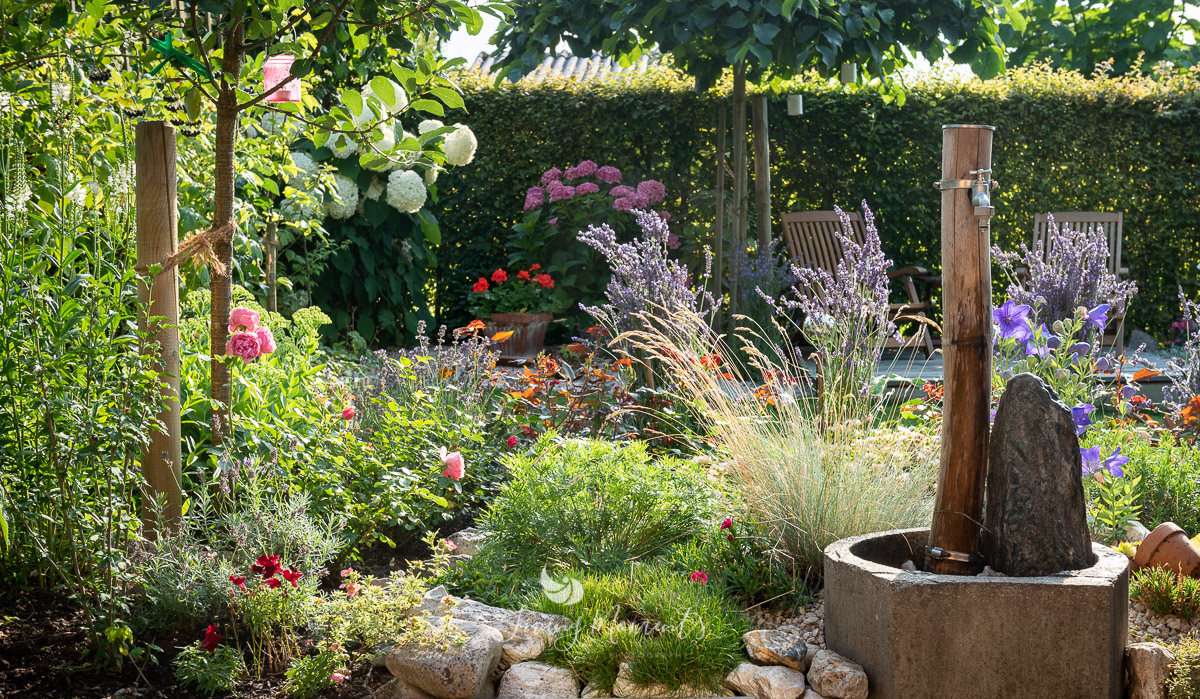 Lichtdurchflutete Sommerstimmung im Schrebergarten